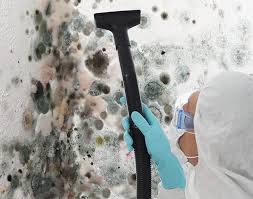 Best Forensic Mold Investigation in La Vernia, TX